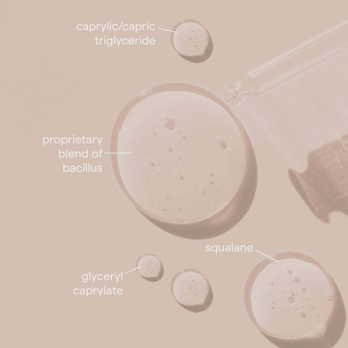 SIV Biome Balancing Serum ingredient and botanical visual