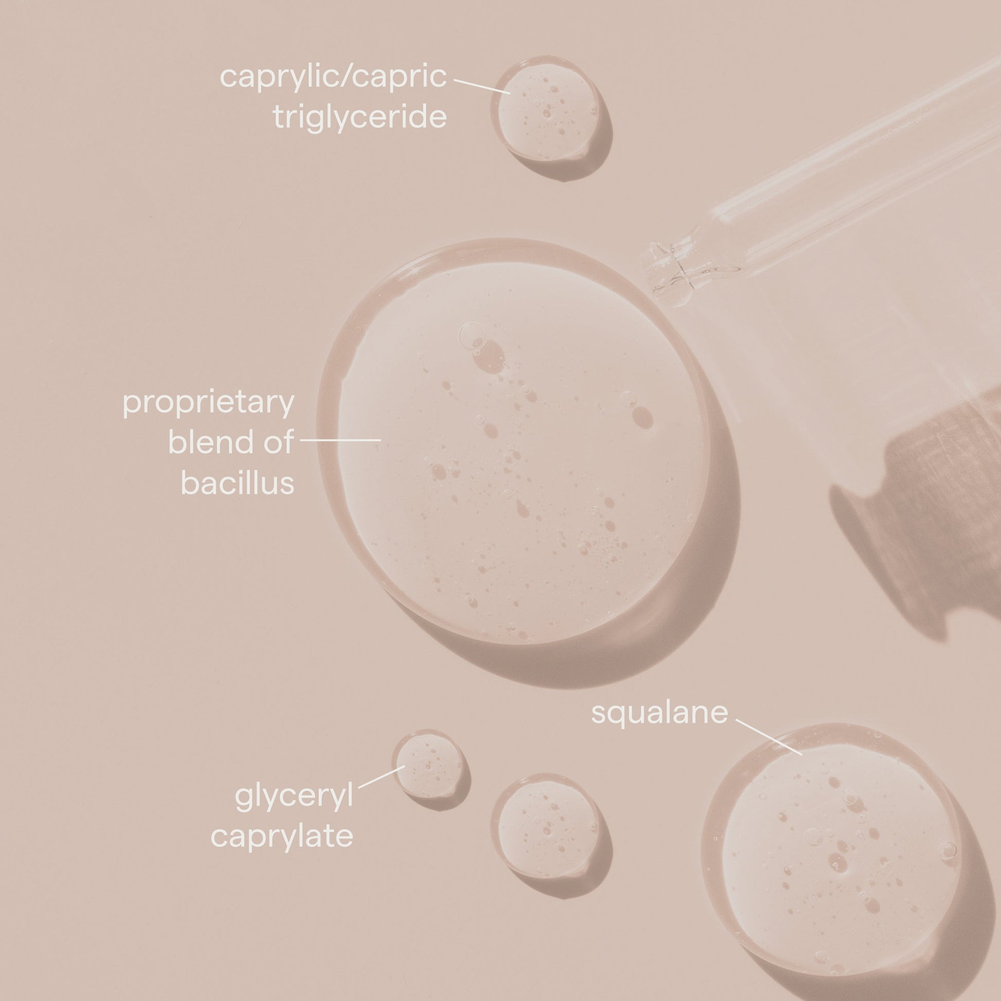 SIV Biome Balancing Serum ingredient and botanical visual